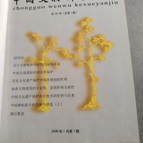 中国文物科学研究合订本2006年