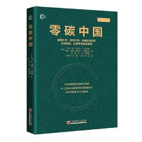 零碳中国 碳中和路径规划 能源转型