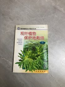 观叶植物保护地栽培