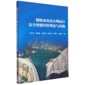 梯级水电站大坝运行安全智能管控理论与实践