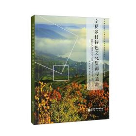 宁夏乡村特色文化资源与旅游/乡村振兴战略下宁夏乡村文旅协同发展研究丛书