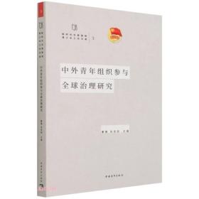 中外青年组织参与全球治理研究/新时代共青团和青少年工作文库