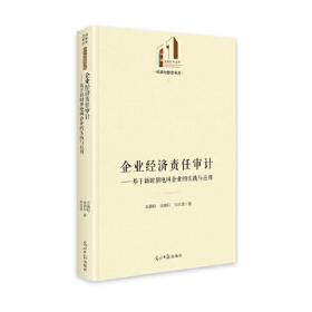 经济与管理书系：企业经济责任审计--基于新时期电网企业的实践与应用（精装）