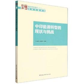 中印能源转型的现状与挑战