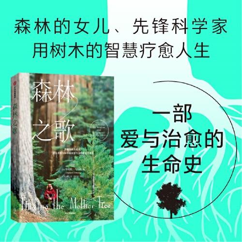 森林之歌