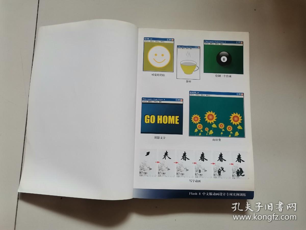 Flash 8中文版：动画设计专项实例训练（含光盘）
