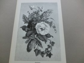 【百元包邮】《冬日花卉》（Winterblumen）1881年，木刻版画， 纸张尺寸约41×28厘米。出自德国画家乔治·赫特（Georg Hirth ，1841–1916)的原创木刻作品。