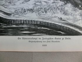【百元包邮】《王者的决斗》（Ein Rhinoceroskampf im Zoologischen Garten zu Berlin） 1882年，木刻版画， 纸张尺寸约41×28厘米。出自19世纪德国著名动物画家，保罗·弗里德里希·梅耶海姆（Paul Friedrich Meyerheim，1842-1915）的原创木刻作品