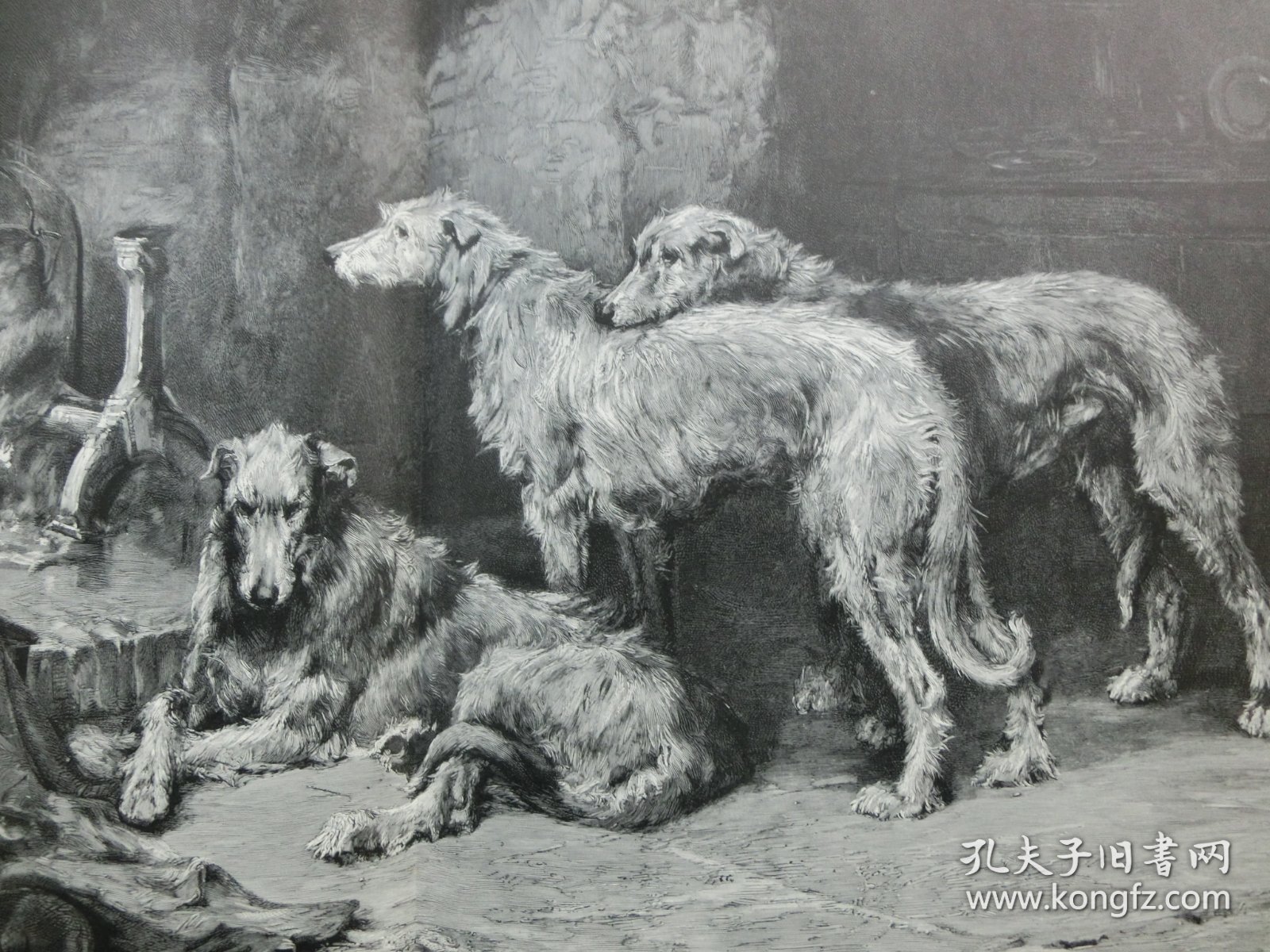 【百元包邮】《忙碌了一天之后的猎犬》（nach einem anstrengenden tage）1902年，大幅木刻版画，纸张尺寸约56×41厘米。出自英国动物和运动画家,菲利普·尤斯塔斯·斯特雷顿 (Philip Eustace Stretton,1865-1919)油画作品