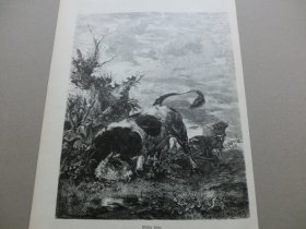 【百元包邮】《风景画：田园牧歌》（WILDER STIER）1881年，木刻版画， 纸张尺寸约41×28厘米。自19世纪德国画家，Victor Weishaupt（1848–1905）的油画作品