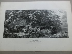 【百元包邮】《风景画：森林牧歌》（Herde im Walde）1881年，木刻版画， 纸张尺寸约41×28厘米。出自19世纪著名德国风景画家，约翰·弗里德里希·沃尔兹（Johann Friedrich Voltz，1817–1886）作于1870年的油画作品