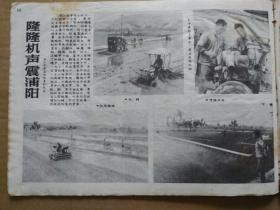 工农兵画报【1972年第14期】（封面画：在毛主席身边成长）