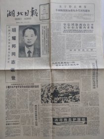 湖北日报【1989年4月16日，农历己已年3月31】、人民日报【1989年4月23日】（讣告：胡耀邦同志逝世）原报两份共8版。合售