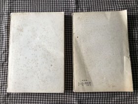 中国古典文学理论批评专著选辑 郭绍虞主编 苕溪渔隐丛话 前集 后集两册