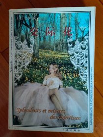 交际花