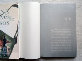 挎包里的中国（英、西班牙文版2册9.5品1版1印）