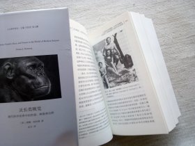 灵长类视觉-现代科学世界中的性别、种族和自然(精装2版2印)