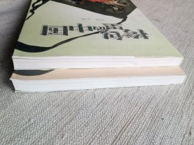 挎包里的中国（英、西班牙文版2册9.5品1版1印）