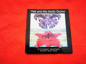YTEK AND THE ARCTIC  ORCHID