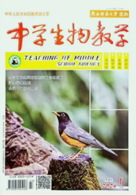 中学生物教学学研版杂志2024年1.2.3.4月打包