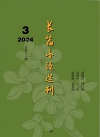 长篇小说选刊杂志2024年5.6月第3期双月刊