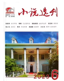 小说选刊杂志2023年1.2.3.4.5.6.7.8.9.10.11.12月全年打包