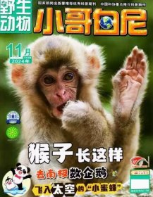 小哥白尼杂志野生动物2024年11月