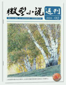 微型小说选刊杂志2024年1月2本打包