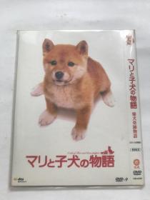 柴犬奇迹物语  DVD