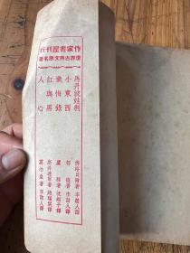 5943：世界古典文学名著 《小东西》