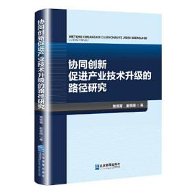 协同创新促进产业技术升级的路径研究