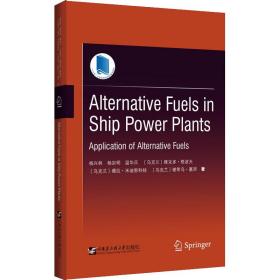 Alternative fuels in ship power plants