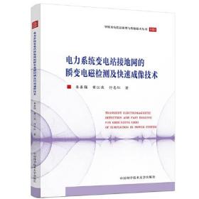 电力系统变电站接地网的瞬变电磁检测及快速成像技术