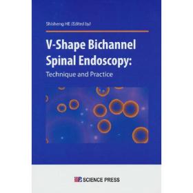 V-SHape Bichannel  Spinal  Endoscopy:Technique and Prctice286-2