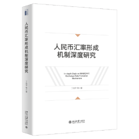 人民币汇率形成机制深度研究 丁剑平 等 北京大学出版社