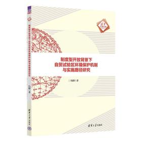 制度型开放背景下自贸试验区环境保护机制与实施路径研究（清华汇智文库）