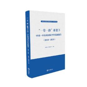 “一带一路”框架下中国—中东欧国家合作发展报告（2019-2020）