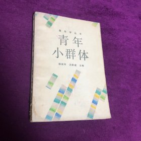 青年小群體