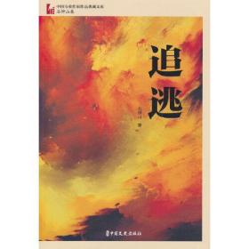 追逃（中国专业作家作品典藏文库·石钟山卷）