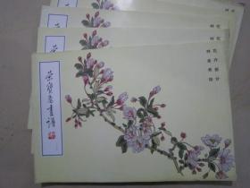 荣宝斋画谱100 林金秀花卉 01年版定价18元