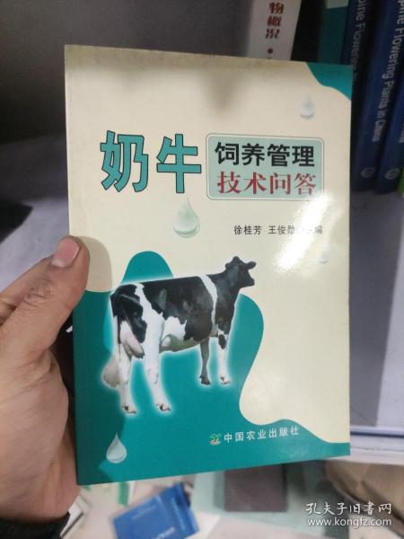 奶牛饲养管理技术问答