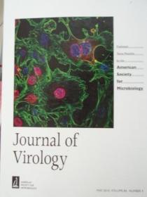 Journal of Virology