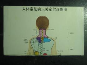 人体常见病三关定位诊断图 62499.7