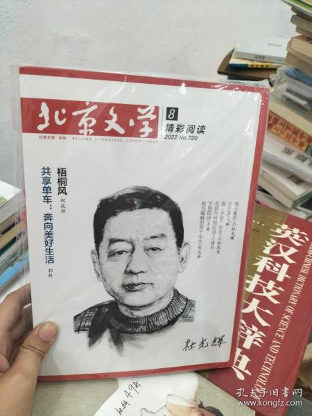 北京文学8