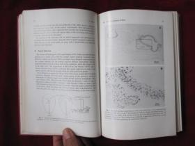 Chimeras in Developmental Biology（英语原版 精装本）发育生物学中的嵌合体