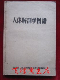 人体解剖学图谱（1955年第1版 1959年第6次印刷，货号TJ）