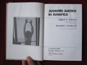 Juvenile Justice in America（Second Edition）美国少年司法（第2版 英语原版 精装本）