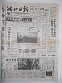 湖北日报 1996年3月21日·数学家陈景润逝世，陈鲁民《也说天天向上》