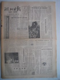 湖北日报 1988年1月13日：
