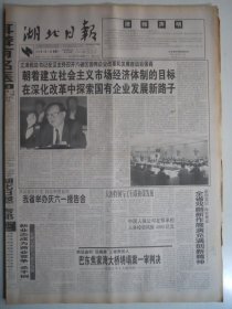湖北日报 1999年5月31日：书记视察湖北原地报，纪念姜一逝世一周年，小记画家贾国中